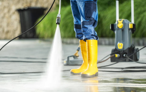 Best Roof Pressure Washing  in Woodbury, NJ